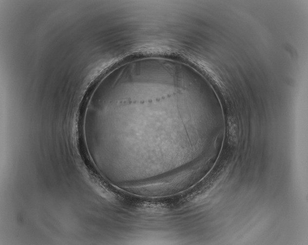X0000111360487200907171207