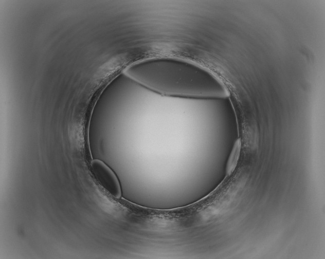 X0000111360489200907171207