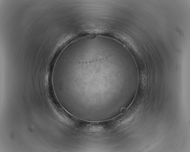 X0000111360491200907171207