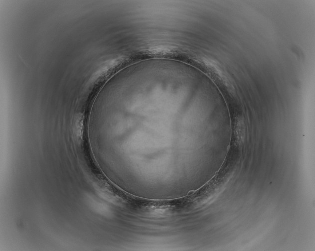 X0000111360495200907171207