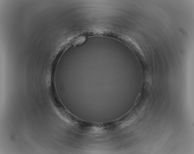 X0000111360496200907171207