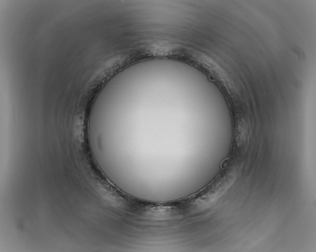X0000111360497200907171207