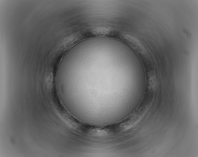 X0000111360498200907171207