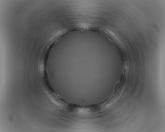 X0000111360500200907171207
