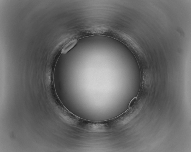 X0000111360501200907171207