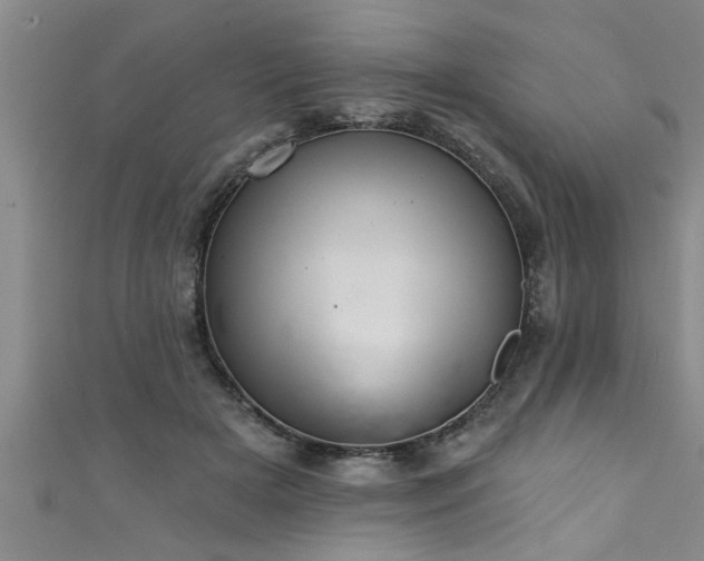 X0000111360505200907171206