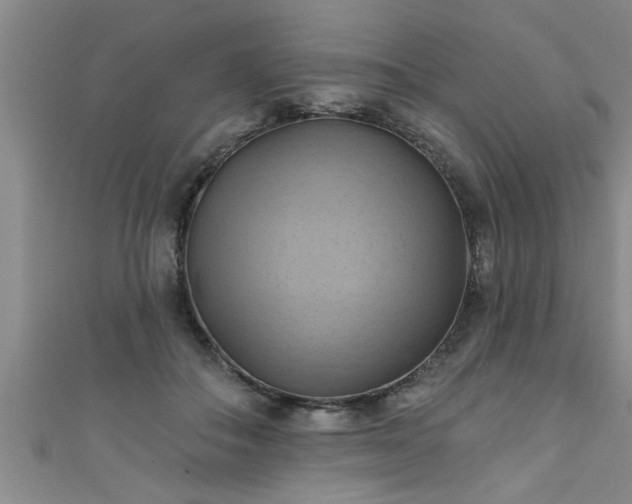 X0000111360506200907171206