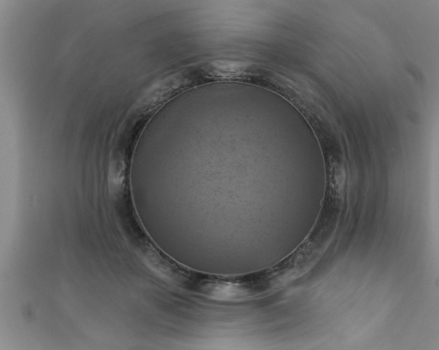 X0000111360507200907171206