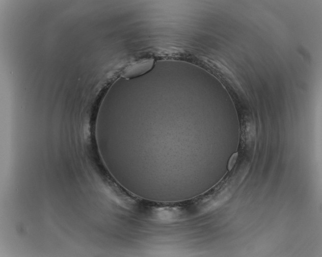 X0000111360508200907171206