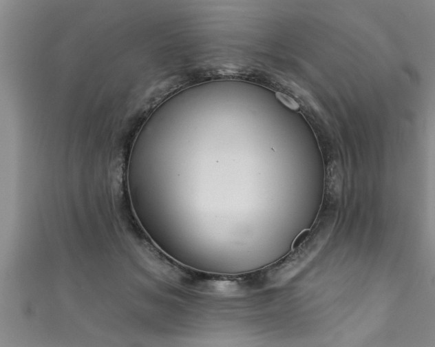 X0000111360509200907171206