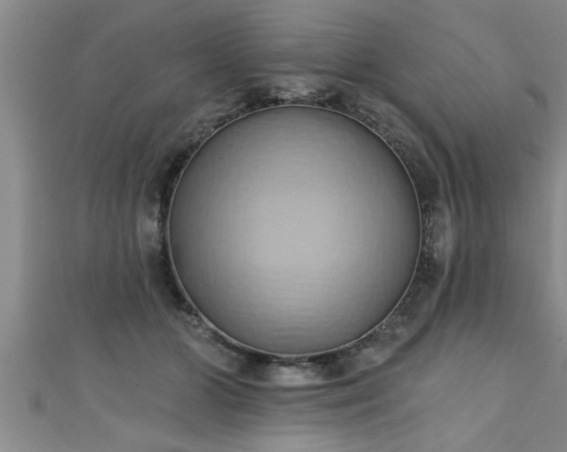 X0000111360510200907171206