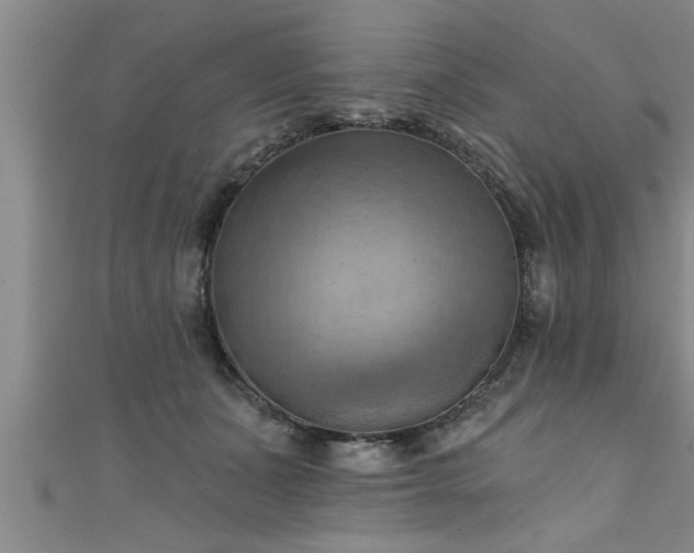 X0000111360511200907171206