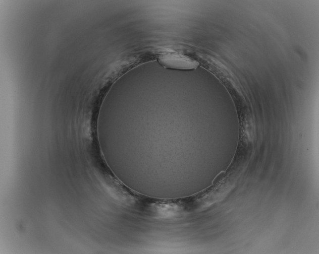 X0000111360512200907171206