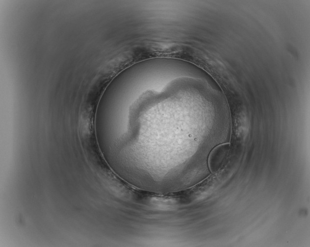 X0000111360515200907171206