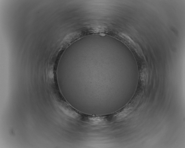 X0000111360516200907171206