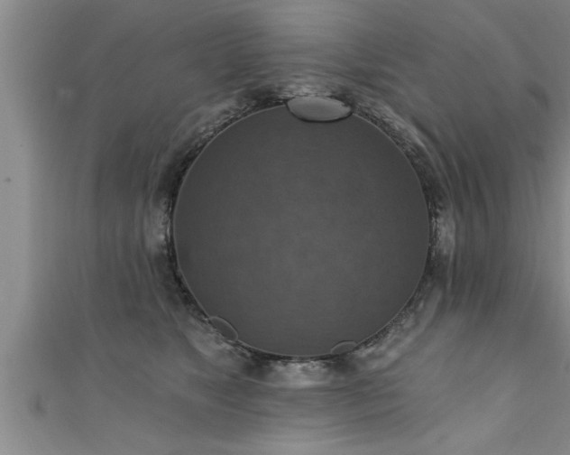 X0000111360517200907171206