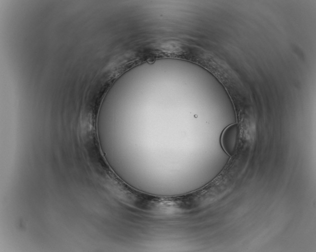 X0000111360518200907171206
