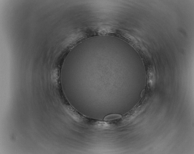 X0000111360519200907171206