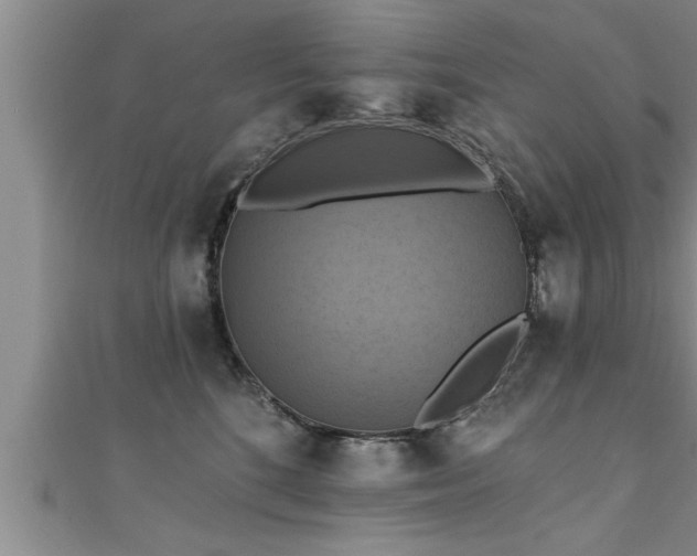 X0000111360520200907171206