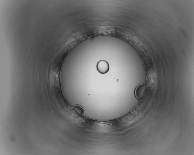 X0000111360522200907171206