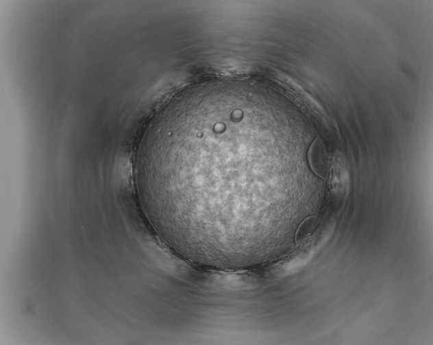 X0000111360523200907171206