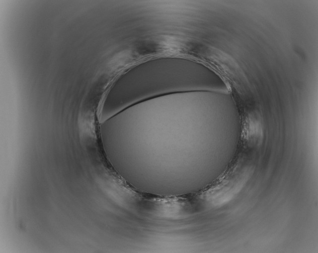 X0000111360524200907171206