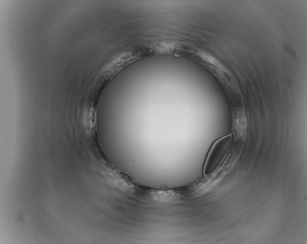 X0000111360525200907171206