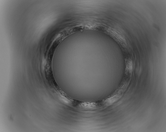 X0000111360526200907171206