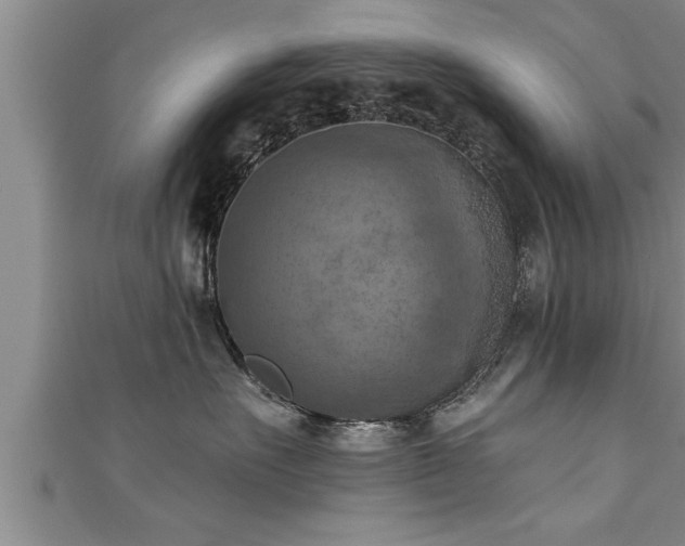 X0000111360527200907171206
