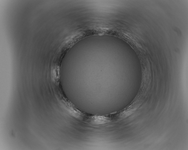 X0000111360528200907171206