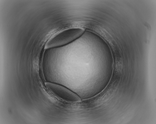 X0000111360530200907171206