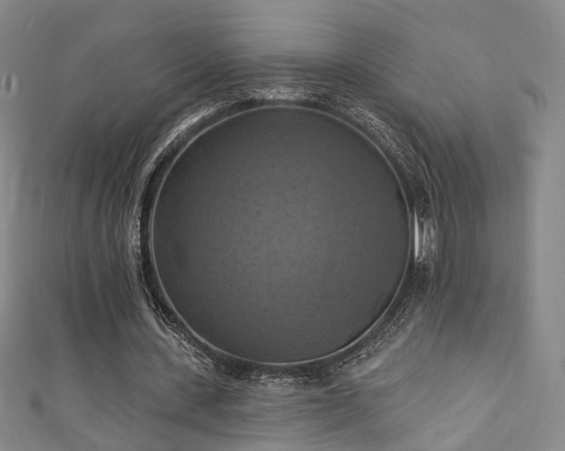 X0000111360531200907171206