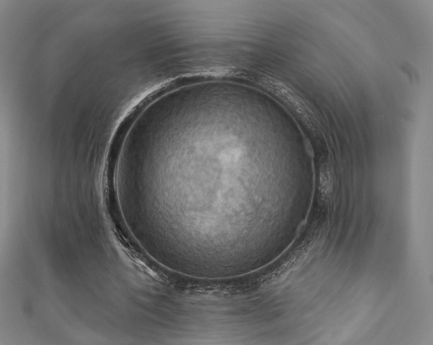X0000111360532200907171206