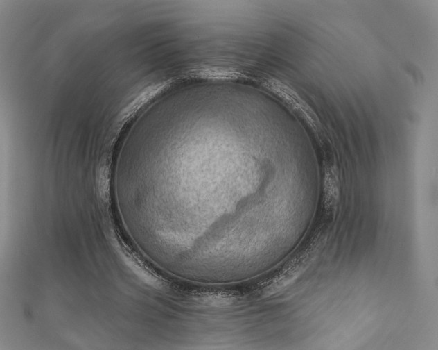 X0000111360533200907171206
