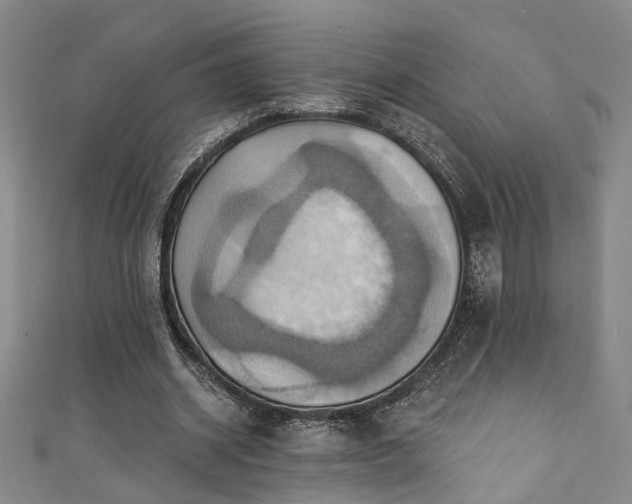 X0000111360534200907171206