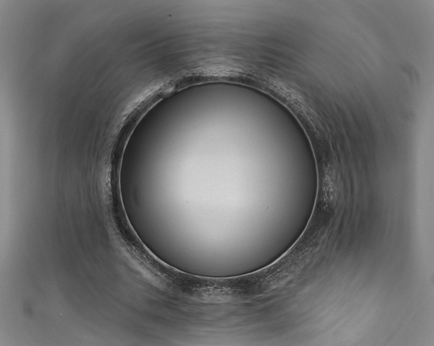 X0000111360535200907171206