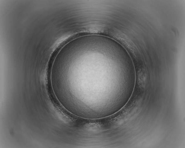 X0000111360536200907171206