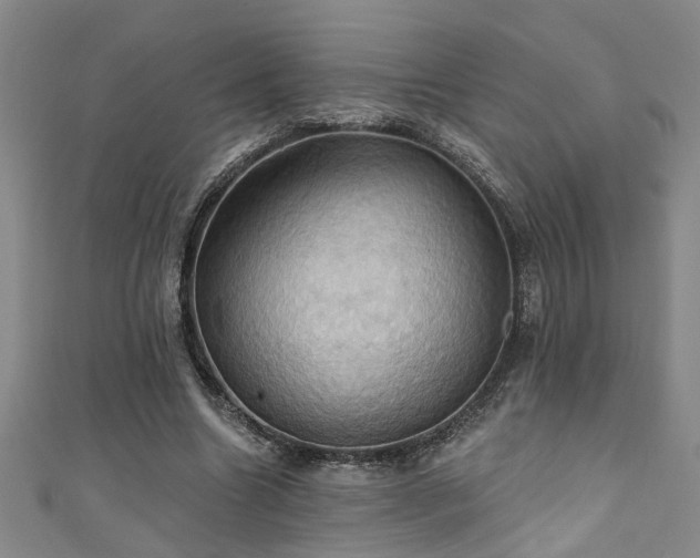 X0000111360538200907171206