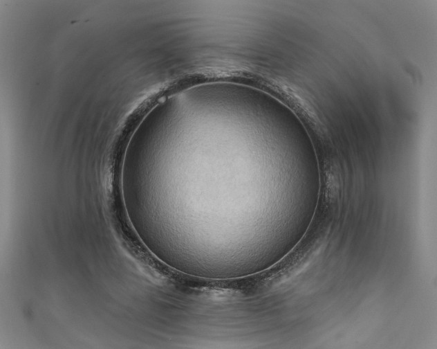 X0000111360539200907171206