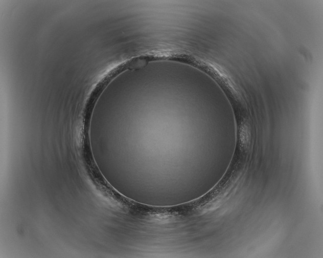 X0000111360540200907171206