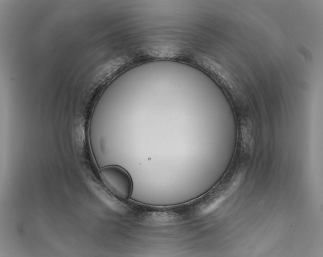 X0000111360541200907171206