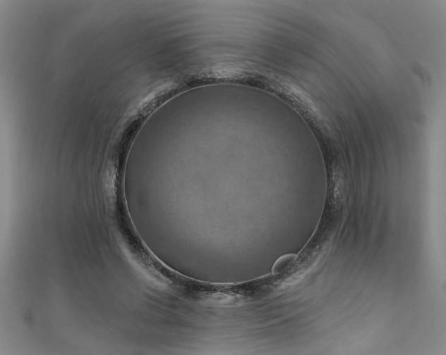 X0000111360542200907171206