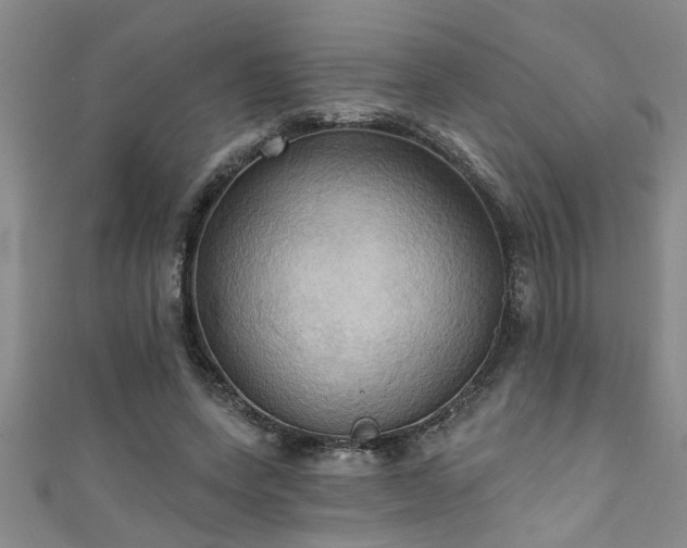 X0000111360543200907171206