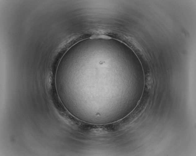 X0000111360544200907171206