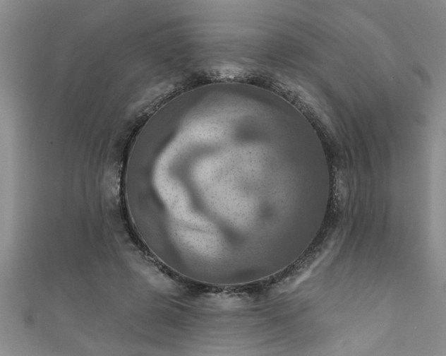 X0000111360545200907171206
