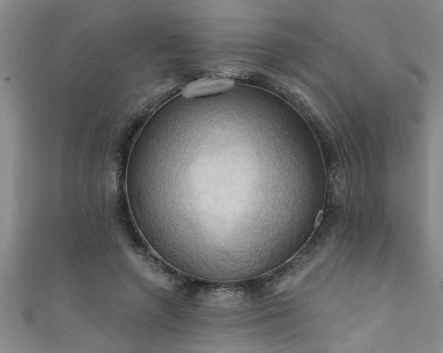 X0000111360546200907171206
