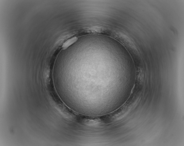 X0000111360548200907171206