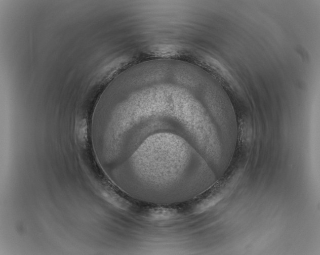 X0000111360549200907171206