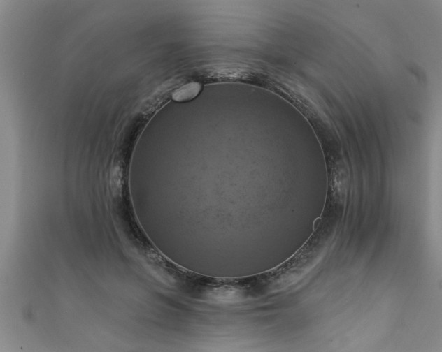X0000111360551200907171206