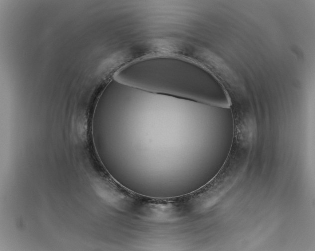 X0000111360552200907171206